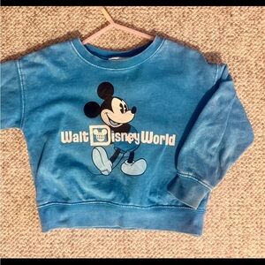 2T Disney World Stonewashed Crewneck